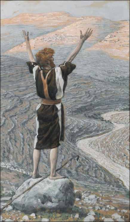 voice in the wilderness